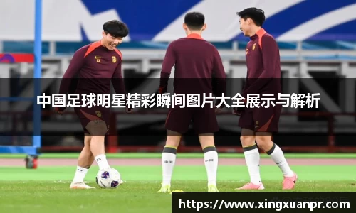 中国足球明星精彩瞬间图片大全展示与解析